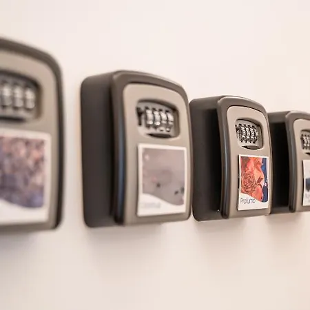 לינה וארוחת בוקר Time 4*