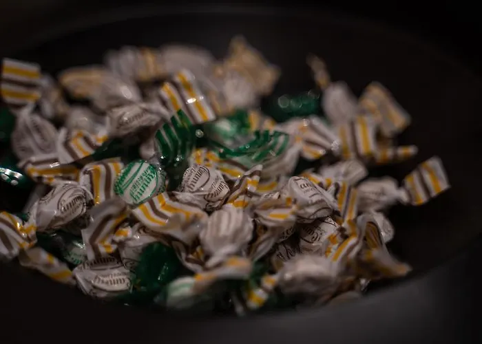 Time Bed & Breakfast